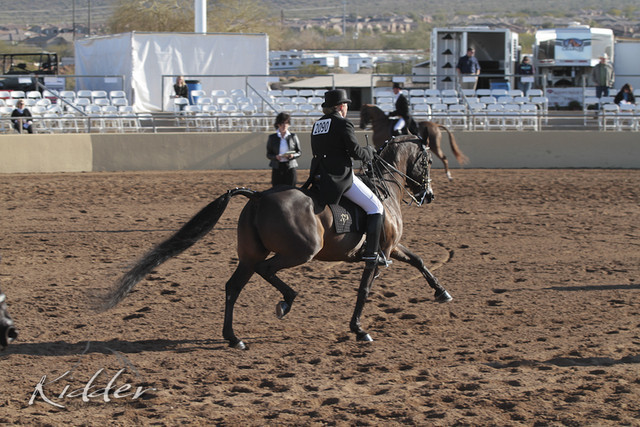 2012 Scottsdale Show | Days 1 & 2