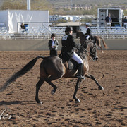 2012 Scottsdale Show | Days 1 & 2