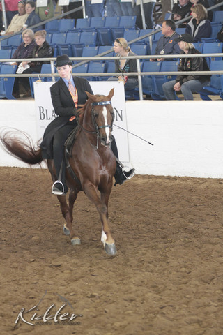 2012 Scottsdale Show | Days 1 & 2