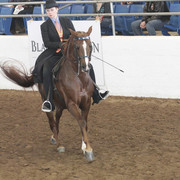 2012 Scottsdale Show | Days 1 & 2