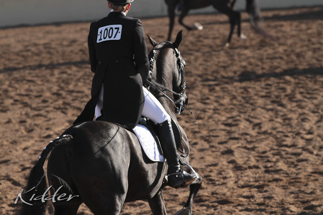 2012 Scottsdale Show | Days 1 & 2