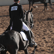 2012 Scottsdale Show | Days 1 & 2