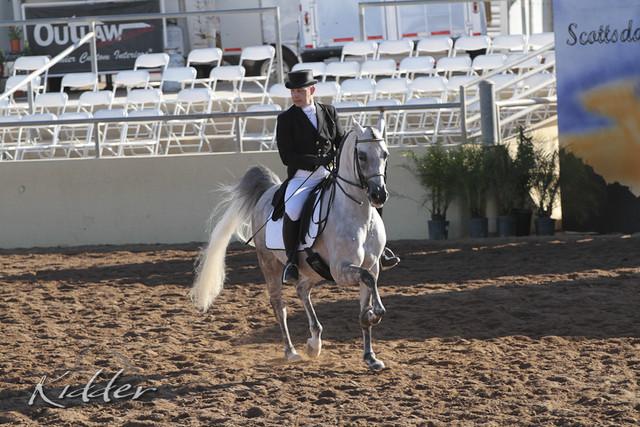 2012 Scottsdale Show | Days 1 & 2