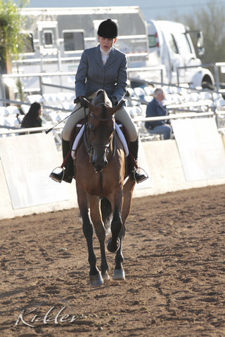 2012 Scottsdale Show | Days 1 & 2