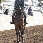 2012 Scottsdale Show | Days 1 & 2