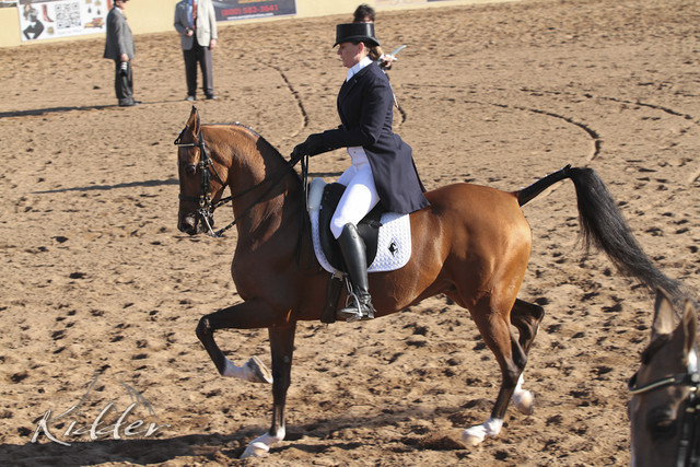 2012 Scottsdale Show | Days 1 & 2