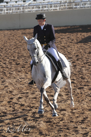 2012 Scottsdale Show | Days 1 & 2