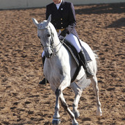 2012 Scottsdale Show | Days 1 & 2