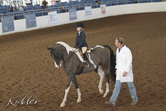 2012 Scottsdale Show | Days 1 & 2