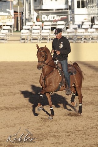 2012 Scottsdale Show | Days 1 & 2