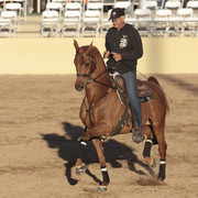 2012 Scottsdale Show | Days 1 & 2