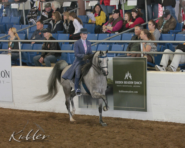 2012 Scottsdale Show | Days 1 & 2