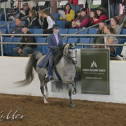 2012 Scottsdale Show | Days 1 & 2