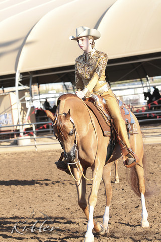 2012 Scottsdale Show | Days 1 & 2