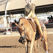 2012 Scottsdale Show | Days 1 & 2