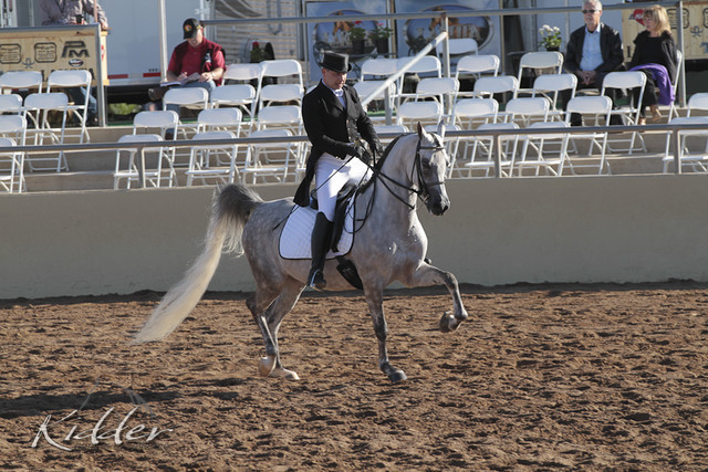 2012 Scottsdale Show | Days 1 & 2