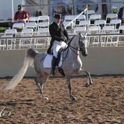 2012 Scottsdale Show | Days 1 & 2