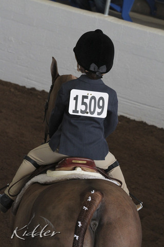 2012 Scottsdale Show | Days 1 & 2