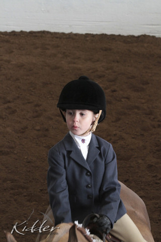 2012 Scottsdale Show | Days 1 & 2