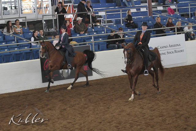 2012 Scottsdale Show | Days 1 & 2