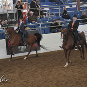 2012 Scottsdale Show | Days 1 & 2