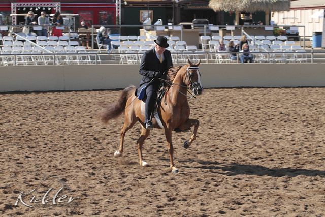 2012 Scottsdale Show | Days 1 & 2