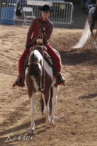 2012 Scottsdale Show | Days 1 & 2