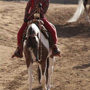 2012 Scottsdale Show | Days 1 & 2