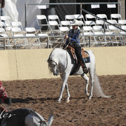 2012 Scottsdale Show | Days 1 & 2