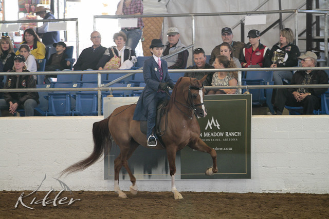 2012 Scottsdale Show | Days 1 & 2