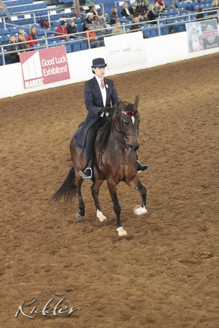 2012 Scottsdale Show | Days 1 & 2