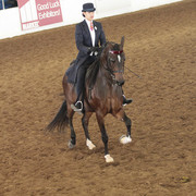 2012 Scottsdale Show | Days 1 & 2