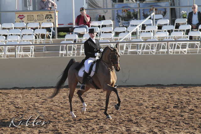 2012 Scottsdale Show | Days 1 & 2