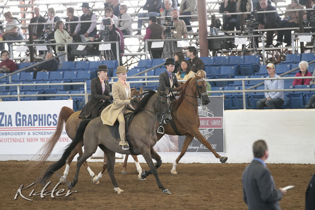 2012 Scottsdale Show | Days 1 & 2