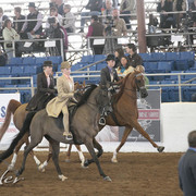 2012 Scottsdale Show | Days 1 & 2