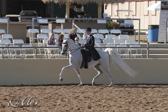 2012 Scottsdale Show | Days 1 & 2