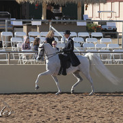 2012 Scottsdale Show | Days 1 & 2