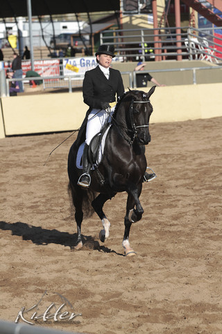 2012 Scottsdale Show | Days 1 & 2