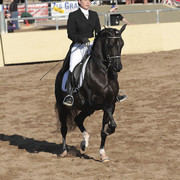 2012 Scottsdale Show | Days 1 & 2