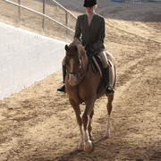 2012 Scottsdale Show | Days 1 & 2