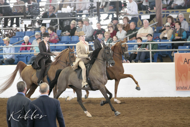 2012 Scottsdale Show | Days 1 & 2