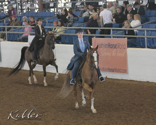 2012 Scottsdale Show | Days 1 & 2
