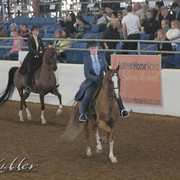 2012 Scottsdale Show | Days 1 & 2