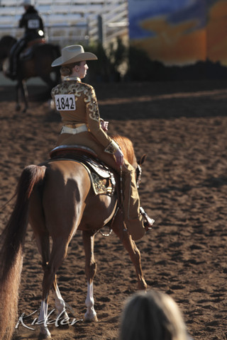 2012 Scottsdale Show | Days 1 & 2