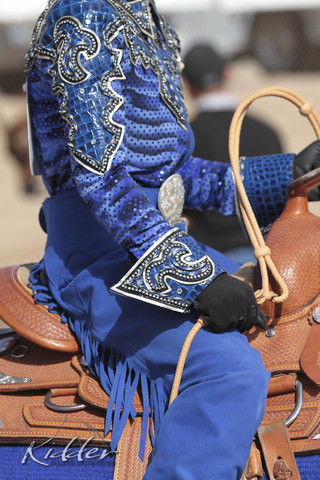 2012 Scottsdale Show | Days 1 & 2