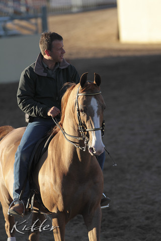 2012 Scottsdale Show | Days 1 & 2