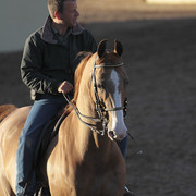 2012 Scottsdale Show | Days 1 & 2