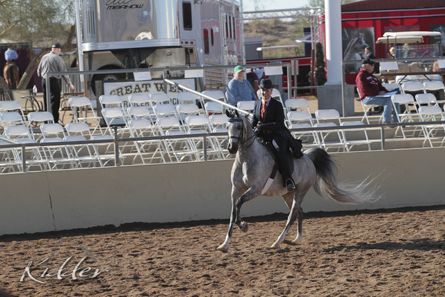 2012 Scottsdale Show | Days 1 & 2