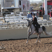 2012 Scottsdale Show | Days 1 & 2