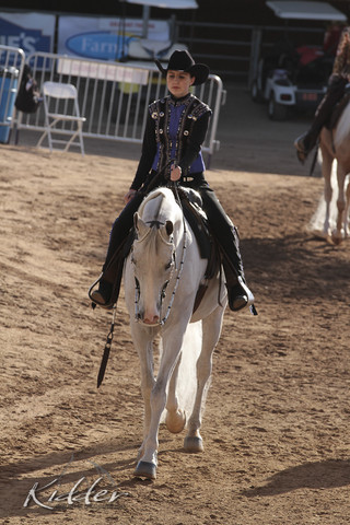 2012 Scottsdale Show | Days 1 & 2